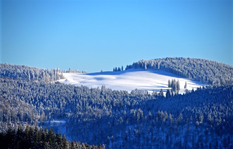 Schwarzwald / Pixabay