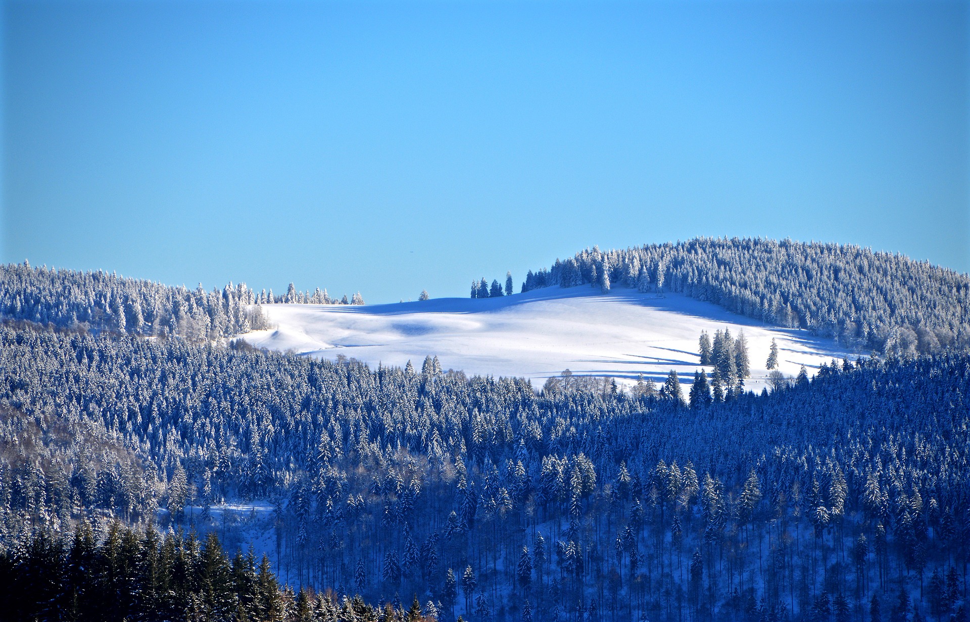 Schwarzwald / Pixabay