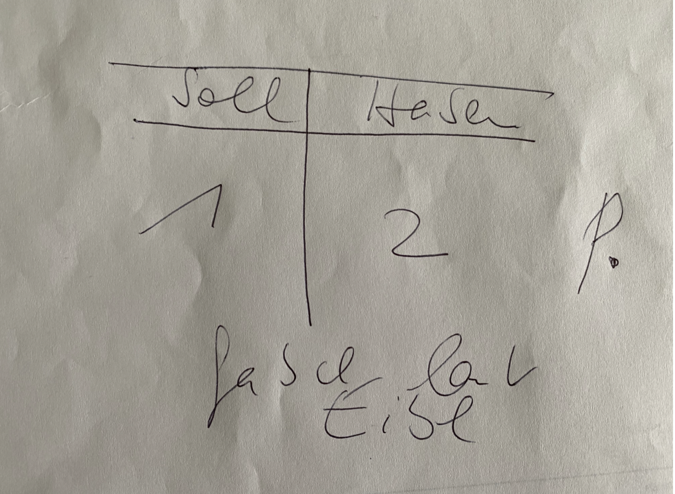 Eibl hat Recht; ist Kontenprüfer
